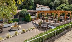 Vente Domaine équestre Valbonne
