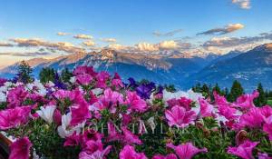 Vente Duplex Crans-Montana