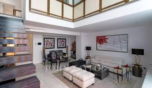 Vente Duplex Madrid