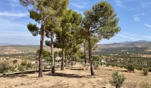 Vente Hôtel particulier Marrakech