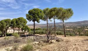 Vente Hôtel particulier Marrakech