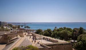 Vente Hôtel particulier Palma de Mallorca