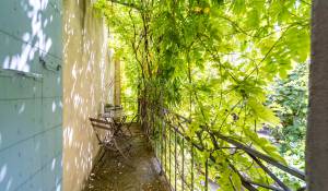Vente Hôtel particulier Pernes-les-Fontaines