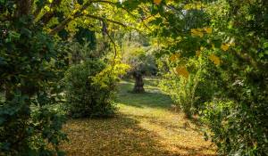 Vente Maison Aix-en-Provence