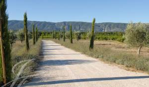 Vente Maison Cabrières-d'Avignon