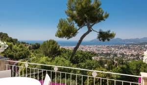 Vente Maison Cannes