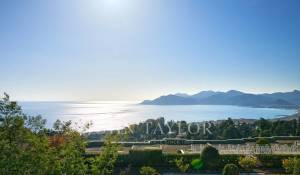 Vente Maison Cannes