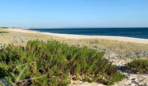 Vente Maison Carvalhal