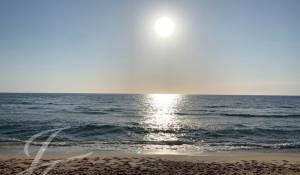 Vente Maison Carvalhal