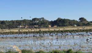 Vente Maison Carvalhal