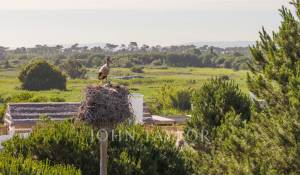 Vente Maison Carvalhal