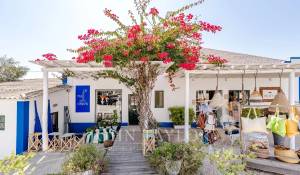 Vente Maison Carvalhal