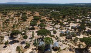 Vente Maison Carvalhal