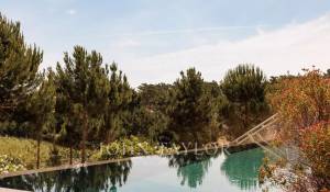 Vente Maison Carvalhal