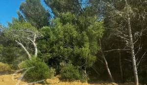 Vente Maison Cascais e Estoril