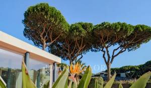 Vente Maison Cascais e Estoril