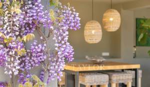 Vente Maison Châteauneuf-Grasse