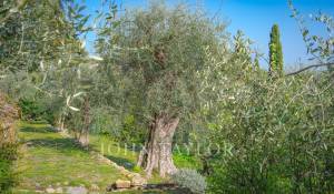 Vente Maison Châteauneuf-Grasse