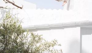 Vente Maison Ciutadella de Menorca