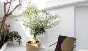 Vente Maison Ciutadella de Menorca