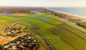 Vente Maison Comporta