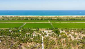 Vente Maison Comporta