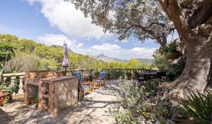 Vente Maison Es Capdella