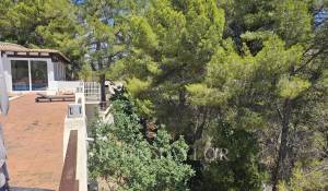 Vente Maison Es Capdella