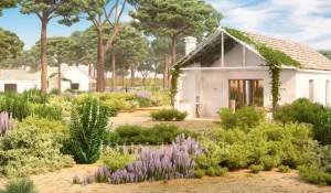 Vente Maison Grândola e Santa Margarida da Serra