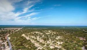 Vente Maison Grândola e Santa Margarida da Serra