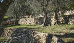 Vente Maison Grasse