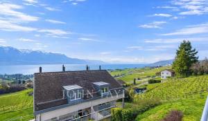 Vente Maison jumelée Blonay-Saint-Légier