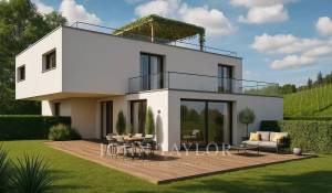 Vente Maison jumelée La Tour-de-Peilz