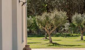 Vente Maison Lège-Cap-Ferret