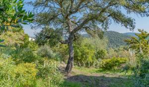 Vente Maison Les Adrets-de-l'Estérel