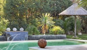 Vente Maison Maillane