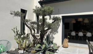 Vente Maison Maillane