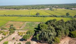 Vente Maison Melides