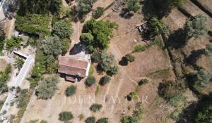 Vente Maison Mouans-Sartoux