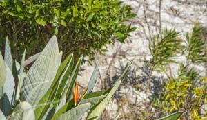 Vente Maison Mougins