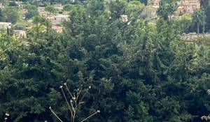 Vente Maison Mougins