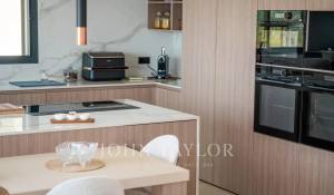 Vente Maison Opio