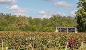 Vente Maison Podensac