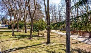 Vente Maison Pozuelo de Alarcón