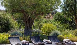 Vente Maison Roquefort-les-Pins