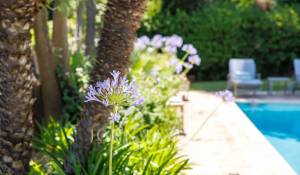 Vente Maison Saint-Paul-de-Vence