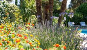 Vente Maison Saint-Paul-de-Vence