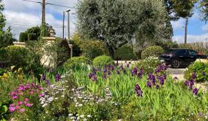 Vente Maison Saint-Paul-de-Vence