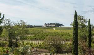 Vente Maison Sauternes