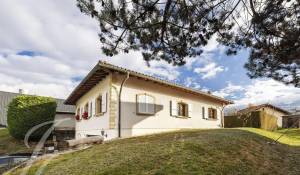 Vente Maison Savièse